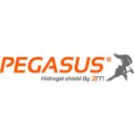 PEGASUS