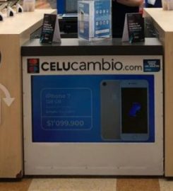 Celucambio